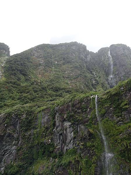 Day 7: Milford Sound