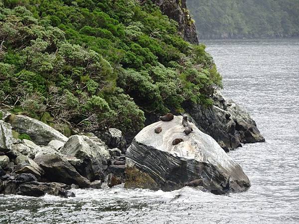 Day 7: Milford Sound