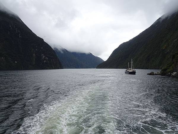 Day 7: Milford Sound