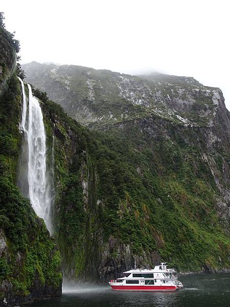 Day 7: Milford Sound