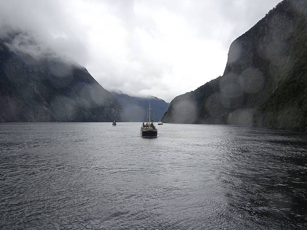 Day 7: Milford Sound