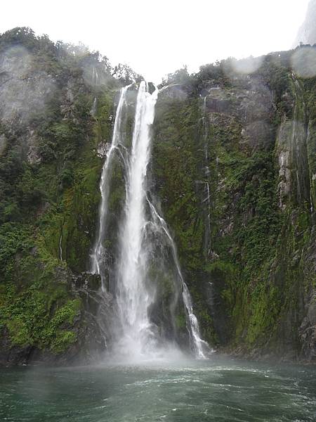 Day 7: Milford Sound