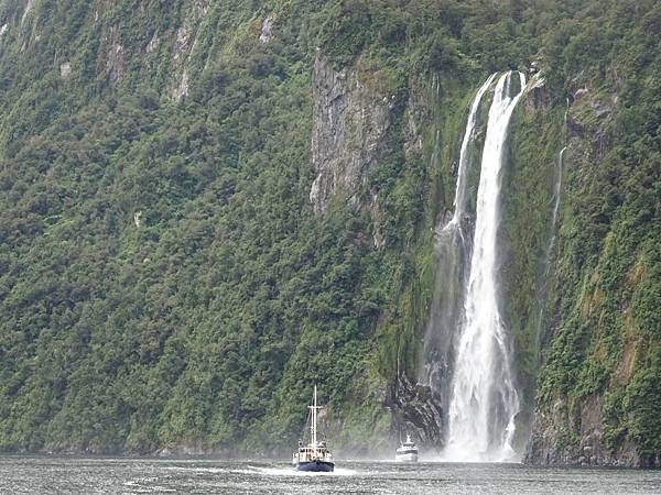 Day 7: Milford Sound