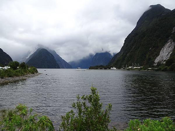 Day 7: Milford Sound