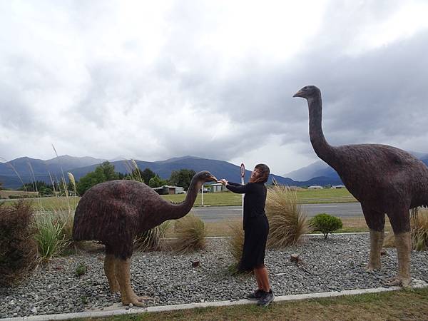 Day 7: Milford Sound