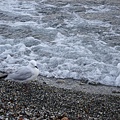 DSC05474.jpg