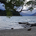 DSC05475.jpg