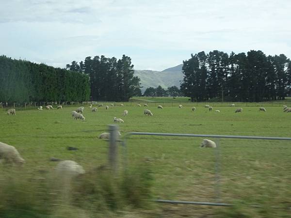 Day 12: Arthur's pass