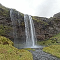 DSC00006.jpg