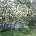 IMG_6223.JPG