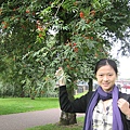 IMG_6215.JPG