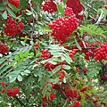 照片 327.jpg