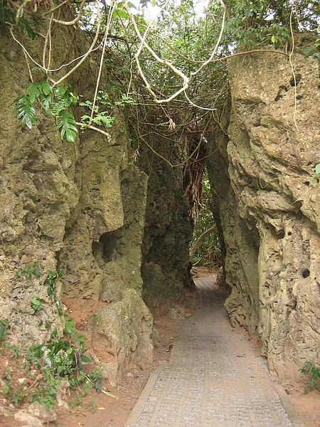 IMG_5915.JPG