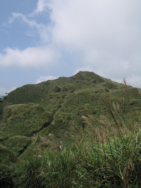 12-七星山主峰還有0.3km.JPG