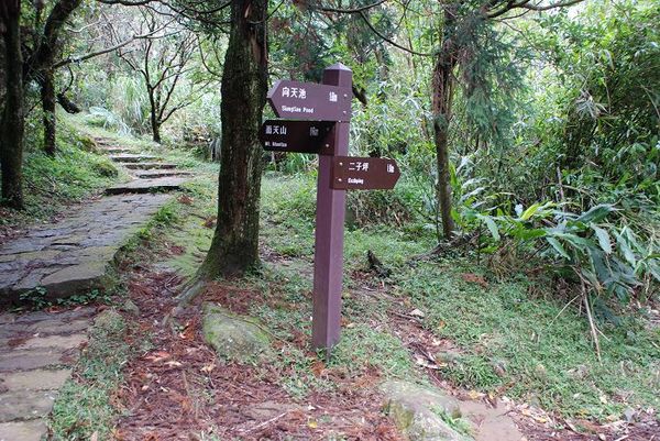 02-面天山岔路.jpg