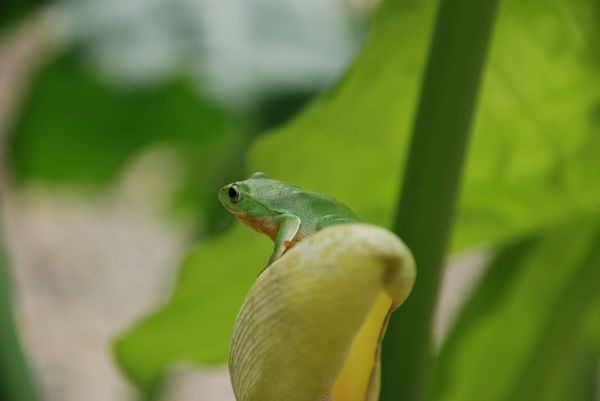 DSC_0004.jpg