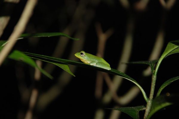 DSC_0016.jpg