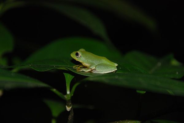 DSC_0026.jpg
