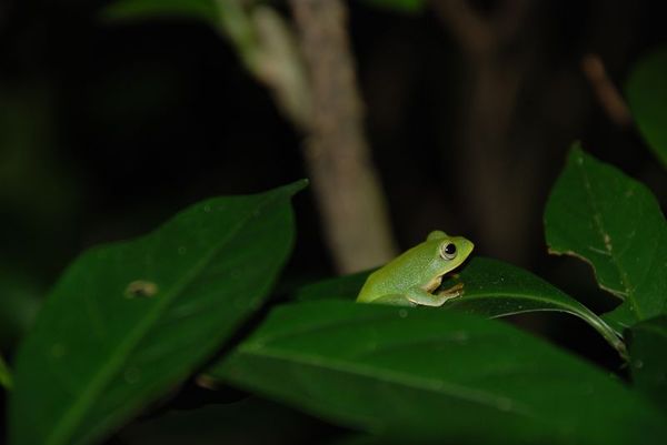 DSC_0032.jpg