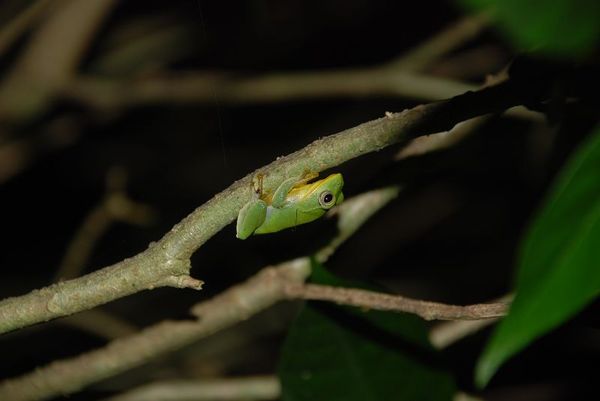 DSC_0040.jpg