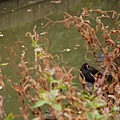 DSC_0006.jpg