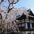 KYOTO-25.jpg