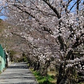 KYOTO-33.jpg