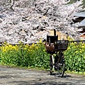 KYOTO-39.jpg