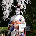 KYOTO-56.jpg