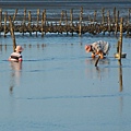 dsc_0092.jpg