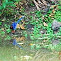 dsc_8480.jpg