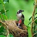 DSC_7643.JPG