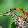 DSC_8875.jpg