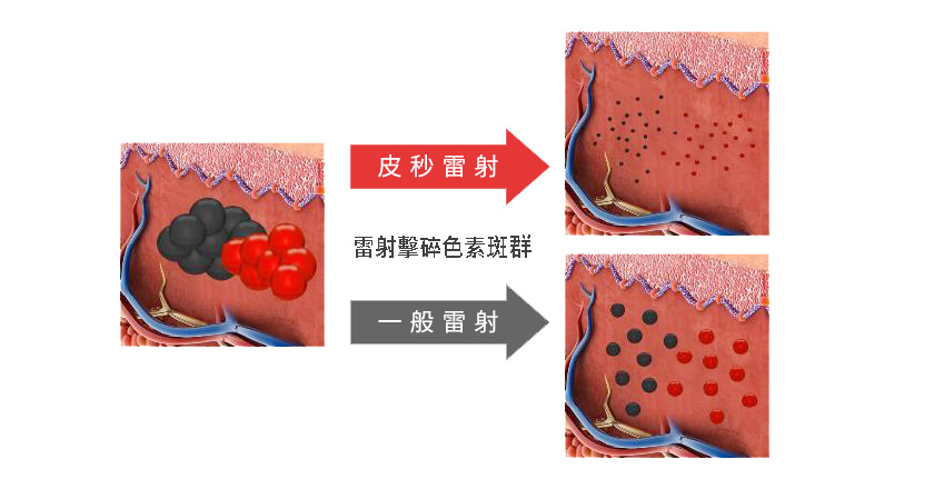 C12_img03.jpg C12_img03.jpg