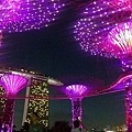 新加坡_5543.jpg