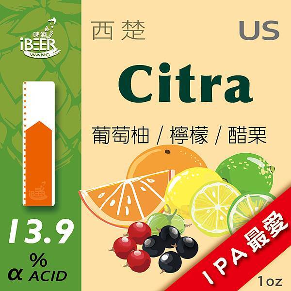 Citra酒花5.jpg