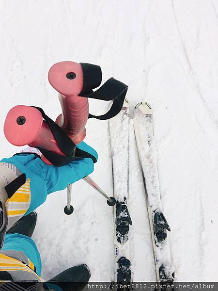 。韓國 // 滑雪團選擇重點和差異分享