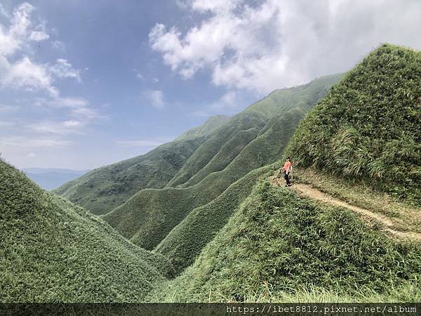 。宜蘭礁溪 // 每年一訪 IG 打卡熱門景點「抹茶山」-聖