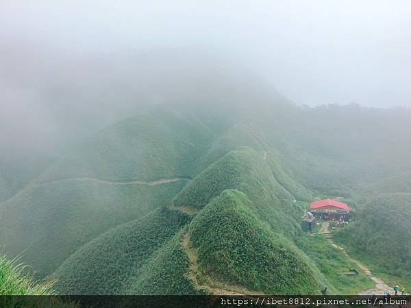 。宜蘭礁溪 // 每年一訪 IG 打卡熱門景點「抹茶山」-聖