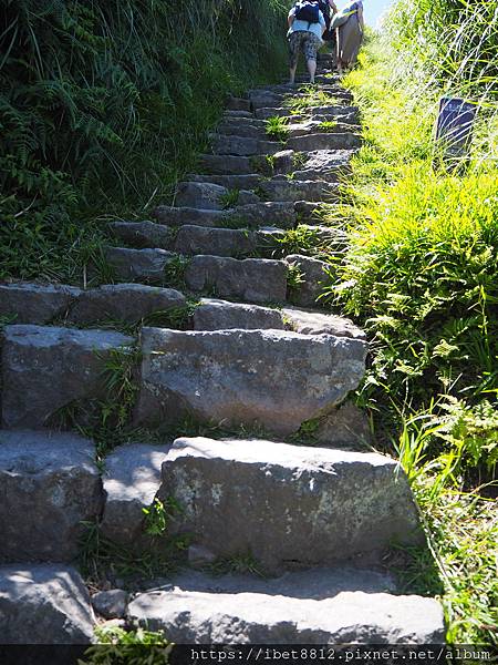 。台北陽明山 // 說走就走最短路線？小油坑步道1.6 km