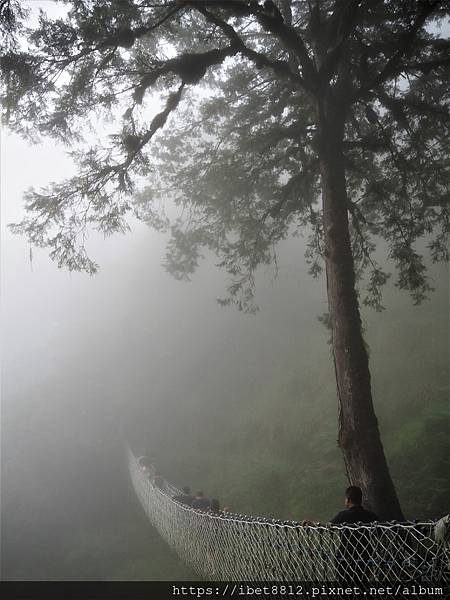 。宜蘭大同 // 早起搶搭太平山蹦蹦車！茂興懷舊步道推推推！