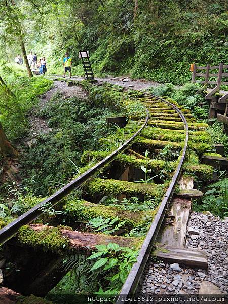 。宜蘭大同 // 早起搶搭太平山蹦蹦車！茂興懷舊步道推推推！