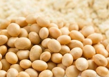 最受歡迎的蛋白質來源 最受歡迎的蛋白質來源