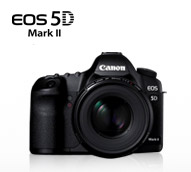 5D Mark 5D Mark