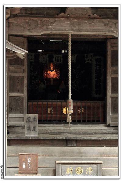 nEO_IMG_IMG_6565 nEO_IMG_IMG_6565