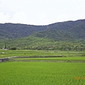 花蓮的山美，台東的田野美