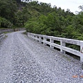 縣197-木溪橋，連橋也是碎石路