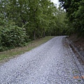 縣197-要進入森林了，山溝感覺會比道路好騎，恨不得把機車騎到山溝裡