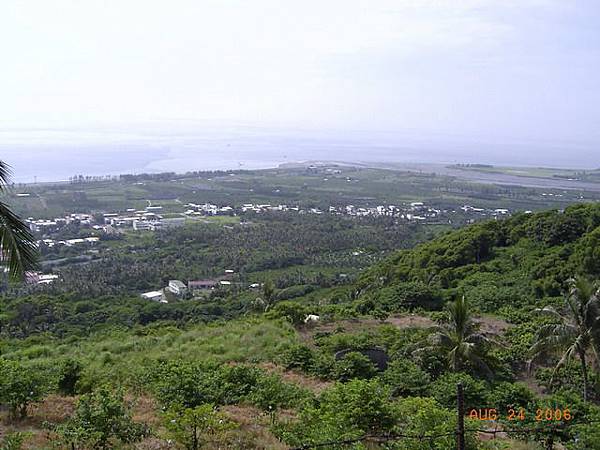 往金針山的路