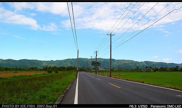 壽豐鄉 鄉道花38-1